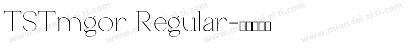 TSTmgor Regular字体转换